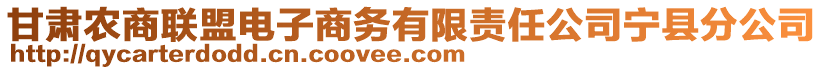 甘肅農(nóng)商聯(lián)盟電子商務有限責任公司寧縣分公司