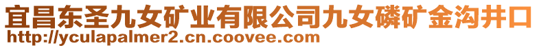 宜昌東圣九女礦業(yè)有限公司九女磷礦金溝井口