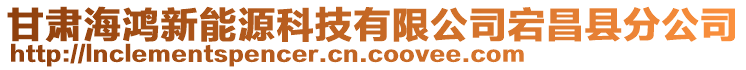 甘肅海鴻新能源科技有限公司宕昌縣分公司