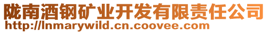 隴南酒鋼礦業(yè)開發(fā)有限責(zé)任公司