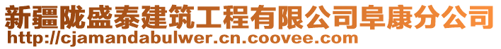 新疆隴盛泰建筑工程有限公司阜康分公司