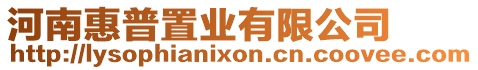 河南惠普置業(yè)有限公司