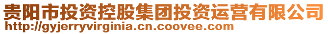 貴陽市投資控股集團投資運營有限公司