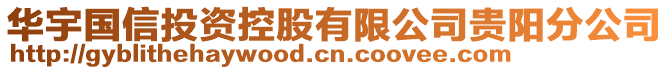 華宇國(guó)信投資控股有限公司貴陽(yáng)分公司