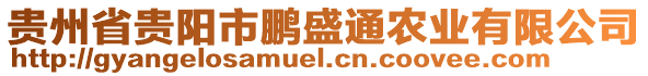 貴州省貴陽市鵬盛通農(nóng)業(yè)有限公司