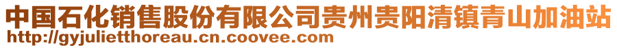 中國(guó)石化銷售股份有限公司貴州貴陽(yáng)清鎮(zhèn)青山加油站