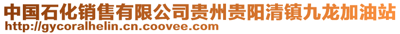 中國(guó)石化銷售有限公司貴州貴陽(yáng)清鎮(zhèn)九龍加油站