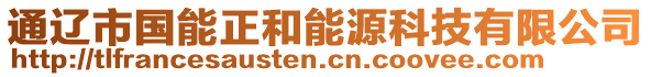 通遼市國能正和能源科技有限公司