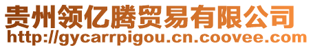 貴州領(lǐng)億騰貿(mào)易有限公司