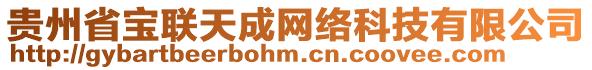 貴州省寶聯(lián)天成網(wǎng)絡(luò)科技有限公司