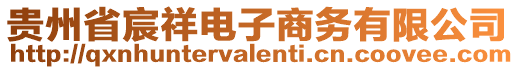貴州省宸祥電子商務有限公司