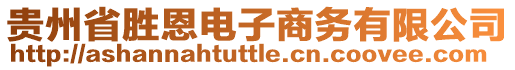 貴州省勝恩電子商務(wù)有限公司