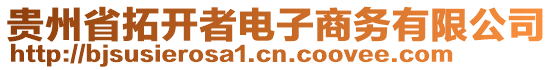 貴州省拓開者電子商務(wù)有限公司