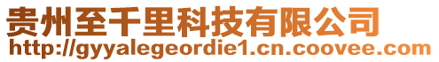 貴州至千里科技有限公司