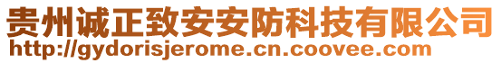 貴州誠(chéng)正致安安防科技有限公司