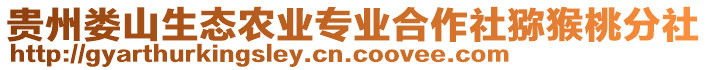 貴州婁山生態農業專業合作社獼猴桃分社
