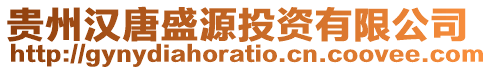貴州漢唐盛源投資有限公司