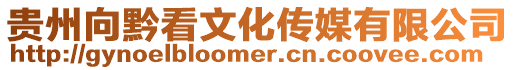 貴州向黔看文化傳媒有限公司