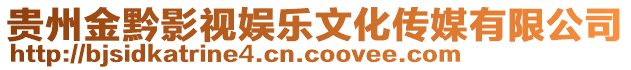 貴州金黔影視娛樂文化傳媒有限公司