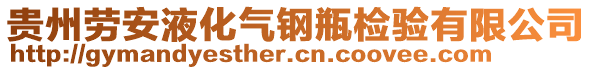 貴州勞安液化氣鋼瓶檢驗(yàn)有限公司