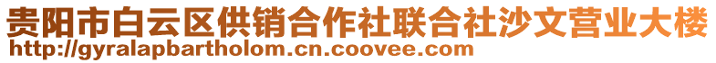 貴陽市白云區供銷合作社聯合社沙文營業大樓