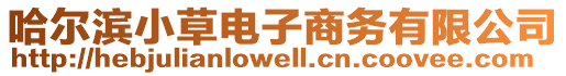 哈爾濱小草電子商務有限公司