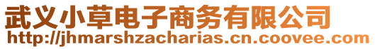 武義小草電子商務有限公司