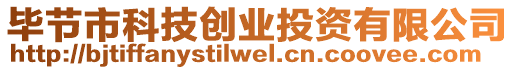 畢節(jié)市科技創(chuàng)業(yè)投資有限公司