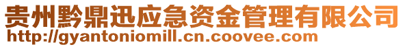 貴州黔鼎迅應急資金管理有限公司