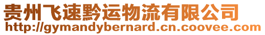貴州飛速黔運(yùn)物流有限公司