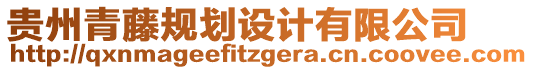 貴州青藤規(guī)劃設(shè)計(jì)有限公司