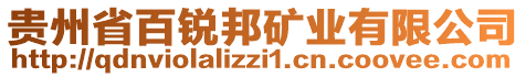 貴州省百銳邦礦業(yè)有限公司