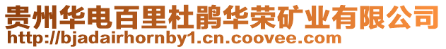 貴州華電百里杜鵑華榮礦業(yè)有限公司