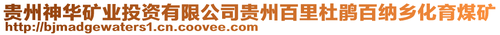 貴州神華礦業(yè)投資有限公司貴州百里杜鵑百納鄉(xiāng)化育煤礦