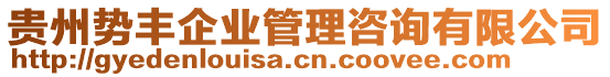 貴州勢(shì)豐企業(yè)管理咨詢有限公司