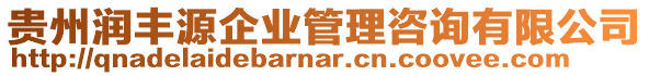 貴州潤豐源企業(yè)管理咨詢有限公司