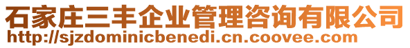 石家莊三豐企業(yè)管理咨詢有限公司