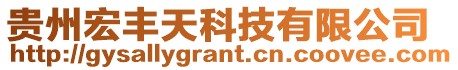 貴州宏豐天科技有限公司