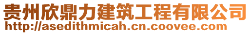 貴州欣鼎力建筑工程有限公司