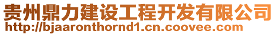 貴州鼎力建設工程開發有限公司