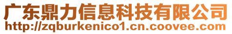 廣東鼎力信息科技有限公司