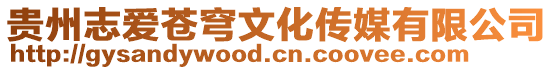 貴州志愛蒼穹文化傳媒有限公司