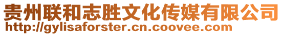 貴州聯和志勝文化傳媒有限公司