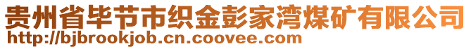 貴州省畢節(jié)市織金彭家灣煤礦有限公司