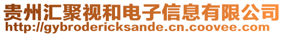 貴州匯聚視和電子信息有限公司