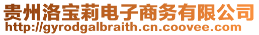 貴州洛寶莉電子商務有限公司