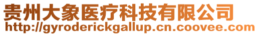 貴州大象醫療科技有限公司