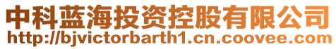 中科藍海投資控股有限公司