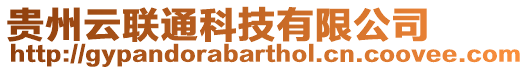 貴州云聯通科技有限公司