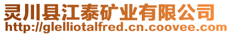 靈川縣江泰礦業(yè)有限公司